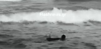 platanias.jpg
