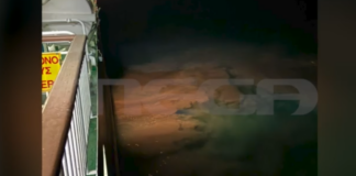 ploio8.png