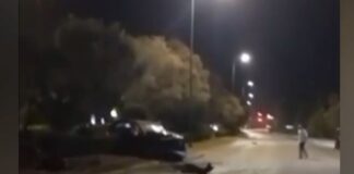 troxaio par.jpg