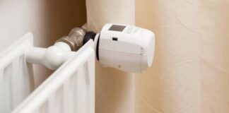 1731794443 epidoma thermansis 1.jpg