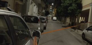 Capture 204.jpg