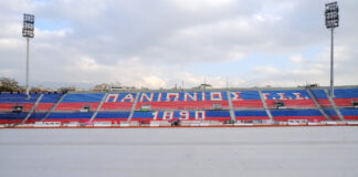 PANIONIOS GIPEDO.jpg