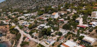 braxuxronia misthwsi 1.jpg