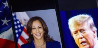 shutterstock 2492496335 450x300 1.jpg