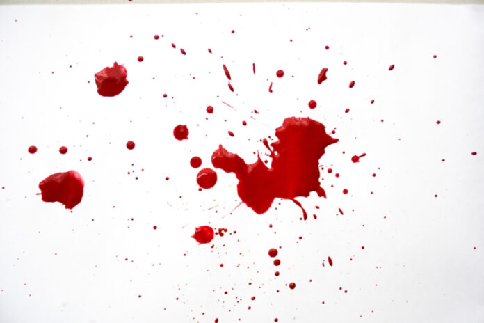 shutterstock 2523932799.jpg