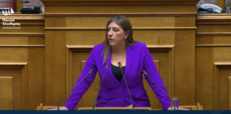 zoi konstantopoyloy 3.png