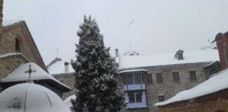 1735429313 unnamed 4.jpg