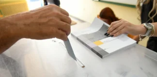 3988089 2048x1406 1.webp.webp