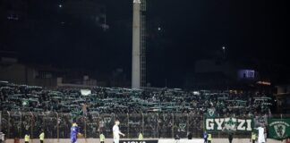 4499585.jpg