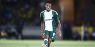 6325122 scaled e1735462711404.jpg