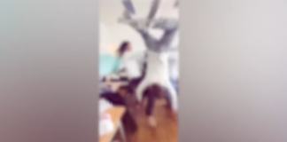 7 5.png