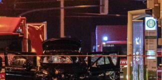 AP24356276442274 1.jpg