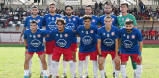 ASTERAS PETRITI.jpg