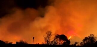 Capture 118.jpg