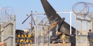 Capture 310 1024x571.jpg