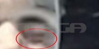 Capture 42.jpg