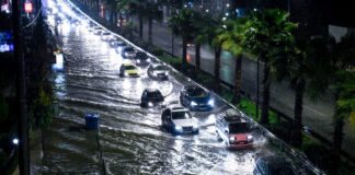 DSC1473 e1735365447265 1024x670.jpg