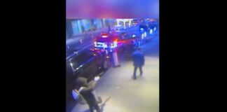 Sans titre 1 1024x602.jpg