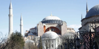 TOYRKIA 1024x580.png