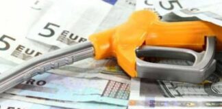 epidoma thermansis 1 1.jpg