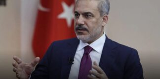 fidan 1024x525.jpg