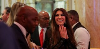 gilfoil 1024x690.jpg