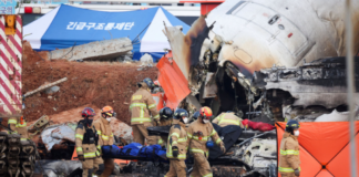 korea12 1024x603.png