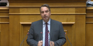 papathanasis thanasis.png