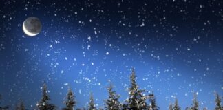 selini ston aigokero.jpg