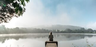 shutterstock 2170976663.jpg