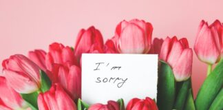 shutterstock 2123667839.jpg