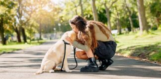 shutterstock 2469644019.jpg