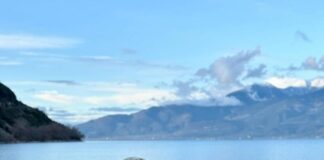 zeta makripoulia tzin mpotakia 4 819x1024.jpg