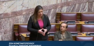 zoi konstantopoyloy.png