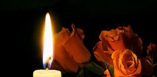 17373276664131621567036203186865 1.jpg