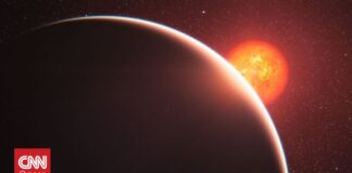 195fbe3f enaiposha 1 og.jpg