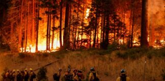 2024 07 29T062703Z 1637968877 RC2R49A37SIJ RTRMADP 5 USA WILDFIRES 1024x702.jpg