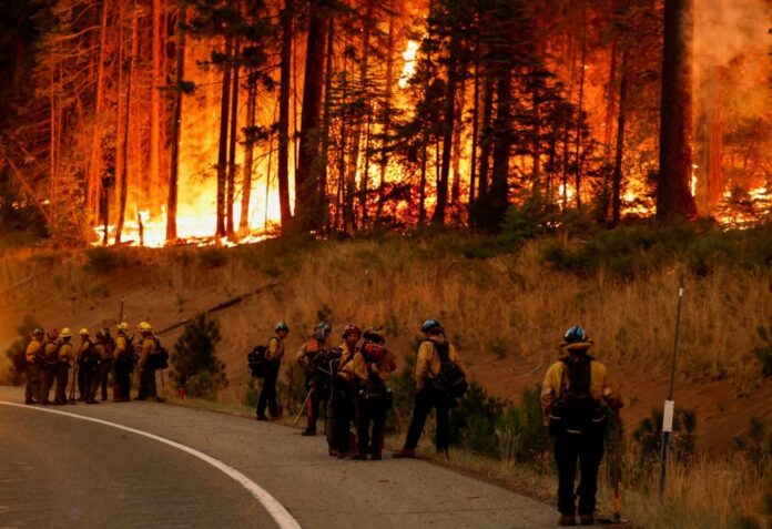 2024 07 29T062703Z 1637968877 RC2R49A37SIJ RTRMADP 5 USA WILDFIRES 1024x702.jpg