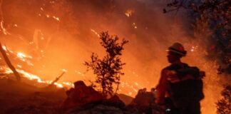 2025 01 10T050555Z 1304289622 RC2P6CAGVXTZ RTRMADP 5 CALIFORNIA WILDFIRES 1024x683.jpg