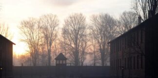 2025 01 27T071159Z 1928702745 RC26ICAY6RCX RTRMADP 5 HOLOCAUST MEMORIAL POLAND AUSCHWITZ 1200x800 1 1024x683.jpg