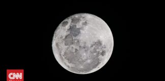 61342c21 pexels brunoscramgnon 596134 og.jpg