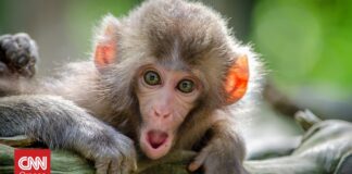 625aac09 jamie haughton Z05GiksmqYU unsplash og.jpg