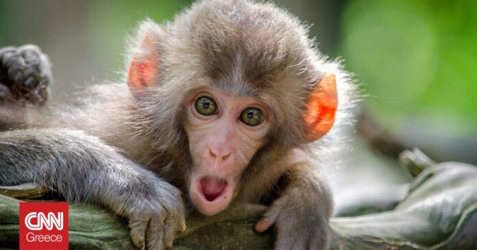 625aac09 jamie haughton Z05GiksmqYU unsplash og.jpg