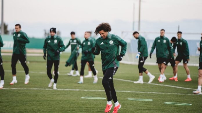 AG403440 1024x683 1.jpg AG403440 1024x683 1.jpg