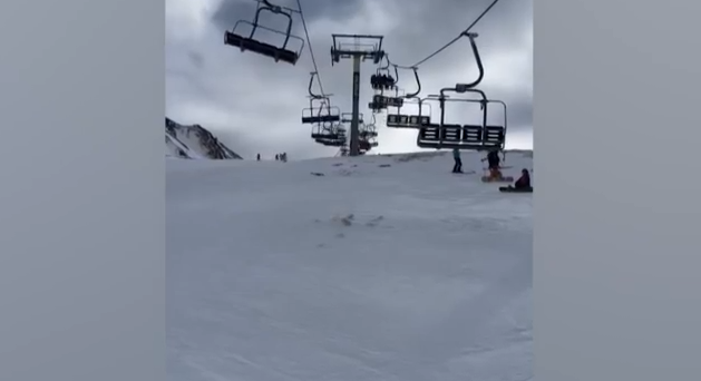 Capture 178.png Capture 178.png