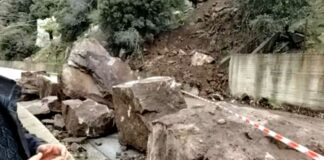 Capture 228.jpg