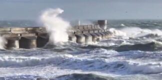 Capture 253 1024x509.jpg