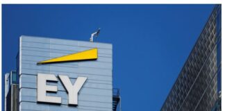 EY 1.jpg