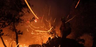 LOSANGELES 1 1024x683.jpg