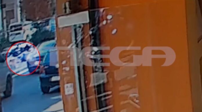 MEGOGEIVN.jpg MEGOGEIVN.jpg